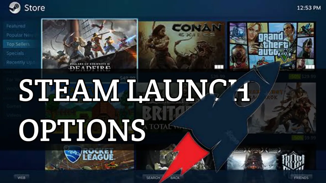 Steam launch options